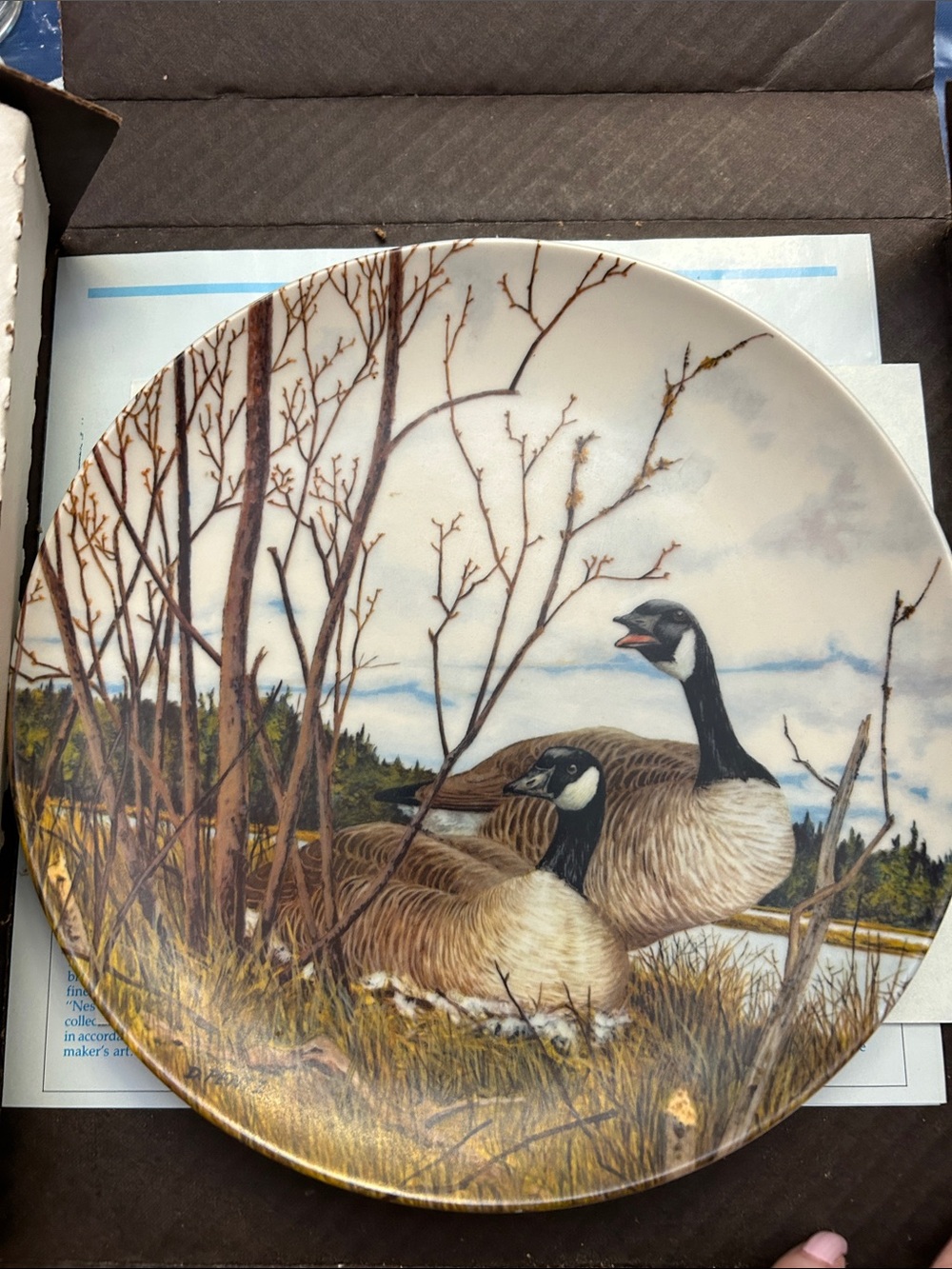 Decorative Canada Goose Collector Plate — Geese Scene